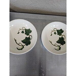 Poppy Trail California Ivy Set Of 2 Soup Bowls Vintage 6.75"